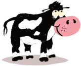 Cow