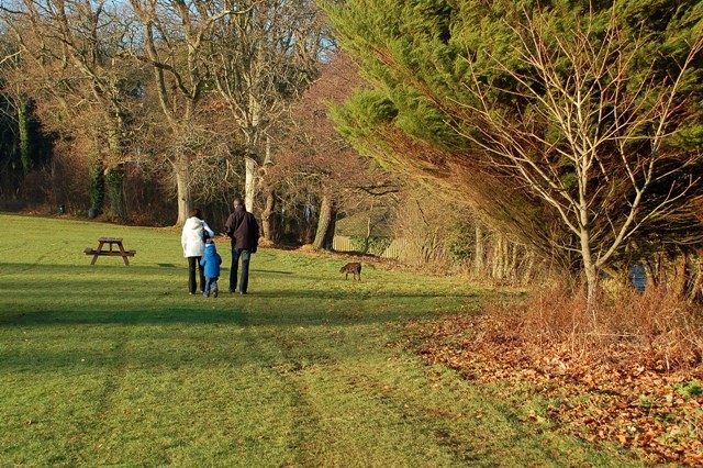 family walking a dog