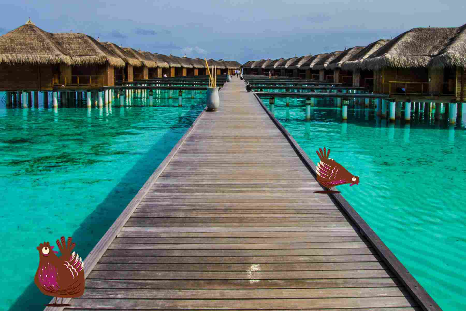 tasteinc maldives